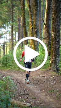 BIB:  <button type="button" onclick="openModal(27339746)" class="btn btn-primary btn-sm float-right" data-toggle="modal" data-target=".modal-high-quality">
                <i class="fa fa-download"></i> Download
                </button>